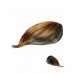 Wigs2you 劉海片 日本正品 直髪片 混色 甜美 時尚迷人斜劉海接髪片W-8105-PBLB